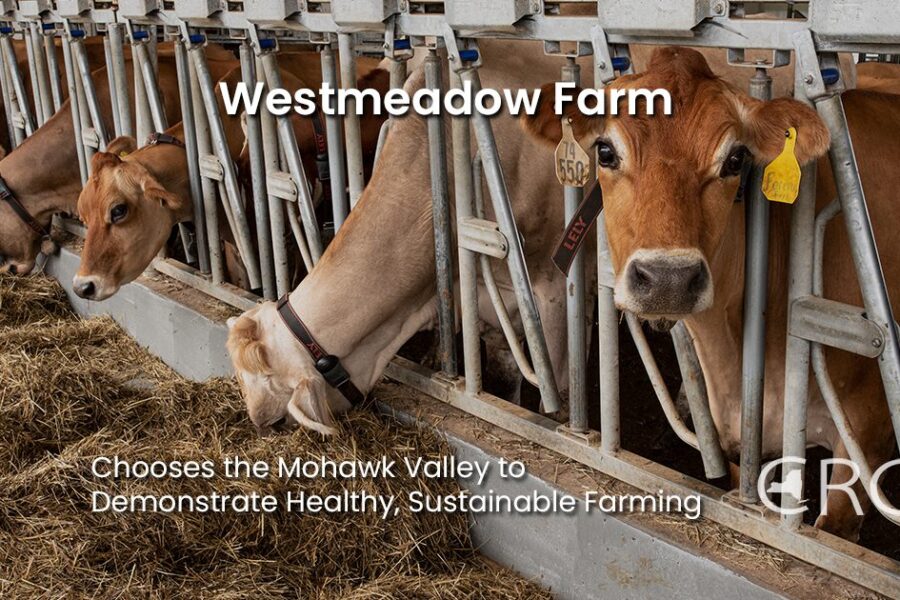 Westmeadow Farm
